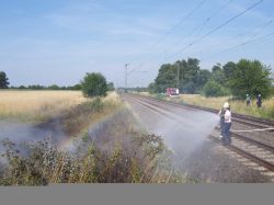 20150704 Großer Flächenbrand L566 Basheide 10